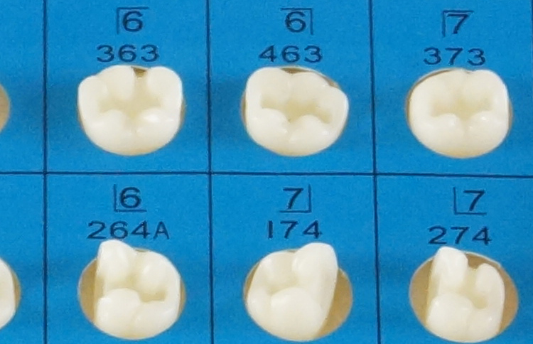 TM-G14 Teeth Preparation